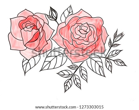 Drawing beautiful roses flowers on over white background,decorative series with pen line,used for floral pattern of fabric,wallpaper,paper,etc. Valentine concept.