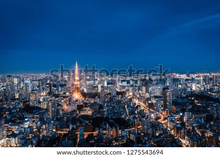 The City Nightview, Tokyo, Japan