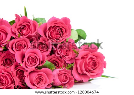 Fresh roses on white background