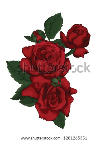  Red rose. Perfect for background greeting cards and invitations of the wedding, birthday, Valentine's Day, Mother's Day. Be my Valentine.