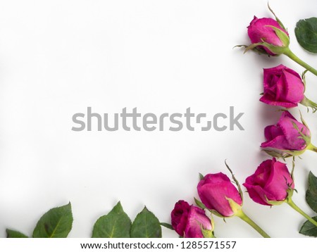 Top view of red roses on white background. Love and romance Valentine's day concept.