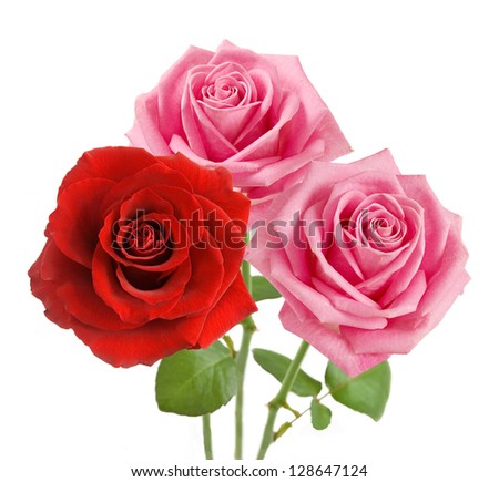 Red and pink roses bunch isolated on white background