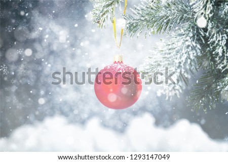 Red bauble on green christmas fir tree on  background