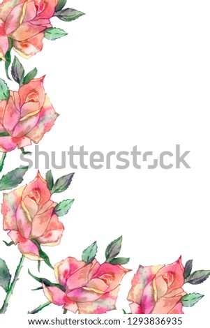Watercolor frame of lush roses isolated on white background. Beautiful illustration, drawn by hand, for the original design of invitations, greeting cards with space for text.