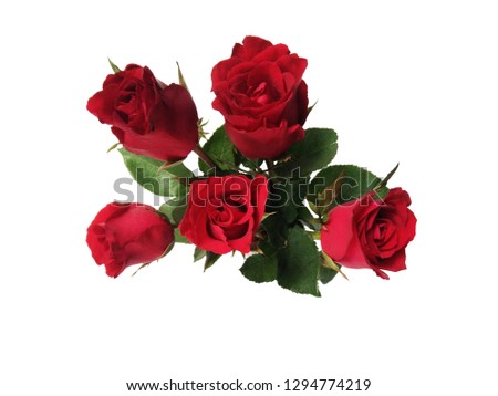 Beauty blossom red rose flower bouquet isolated on white background, for Valentine's day
