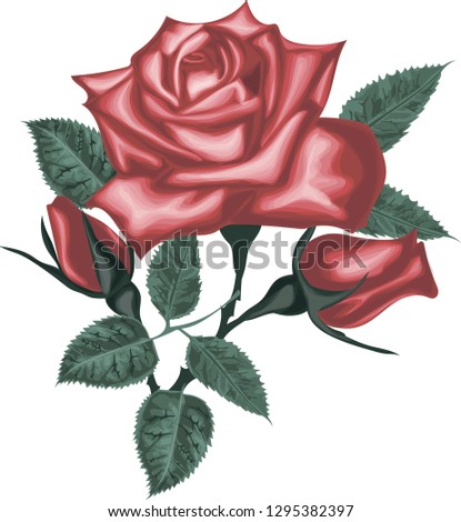 Red Roses. Decorative vector flowers. Leaf and buds
