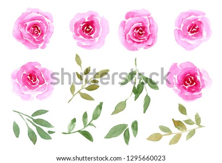 Watercolor set of blooming flower buds, roses, twigs and leaves. Illustration isolated on white background. Hand-drawn floral decorative elements.