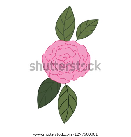 beautiful rose with leafs isolated icon