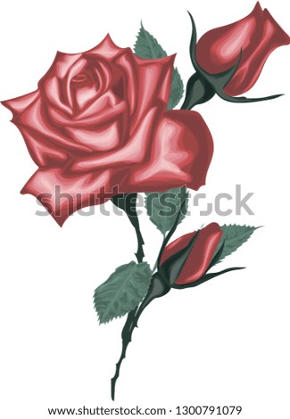 Decorative vector flowers. floral illustration, beautiful bouquet with pink roses and leaves. Red vintage roses flowers isolated on white background.