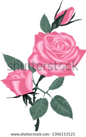 Decorative vector flowers. floral illustration, beautiful bouquet with pink roses and leaves. Pink  vintage roses flowers isolated on white background.