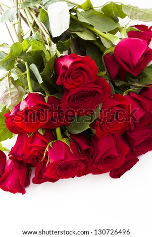Close-up of red roses on white background.