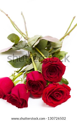 Close-up of red roses on white background.