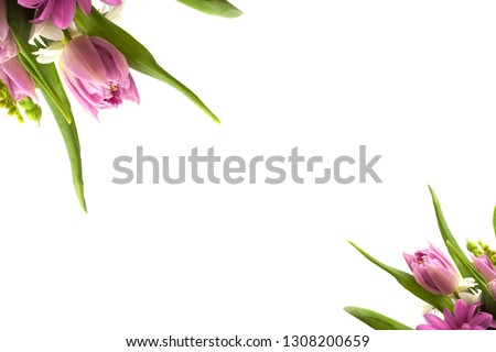 Tulips in the form of a frame on a white background. Spring flowers