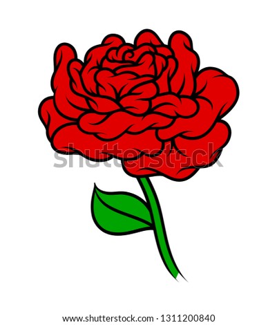 Flower rose, red buds and green leaves. Isolated on white background. Vector illustration