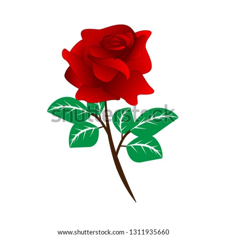 vector red rose