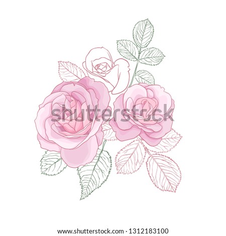 Pastel Pink Roses with Contour Leaves Bouquet Isolated on White Background. Vector Illustration.