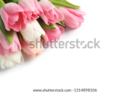 Beautiful spring tulips on white background. International Women's Day