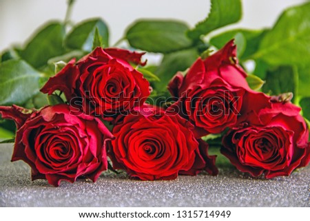 Red roses bouquet. Beautiful red roses on silver background close up, greeting card, background with beautiful flowers. 
Greeting card with red roses.