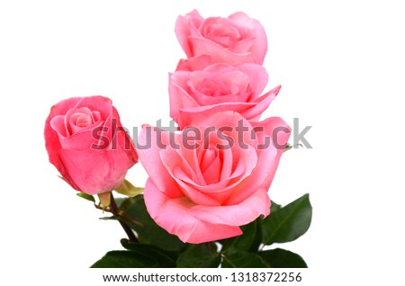 A mother day gift of rose flowers