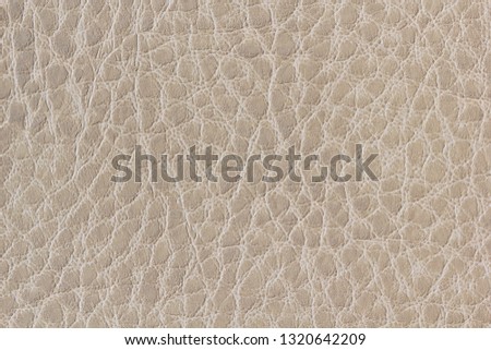 Background from beige textured natural leather. Abstract background of beige natural leather. Beige genuine leather.