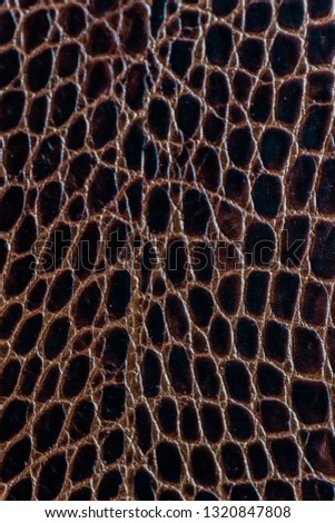 snake skin pattern texture background
