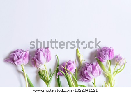 Bunch of violet tulips on white background. Easter, spring concept. Flat lay, top view.