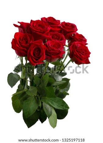 Bouquet of red roses with green foliage isolated on white background