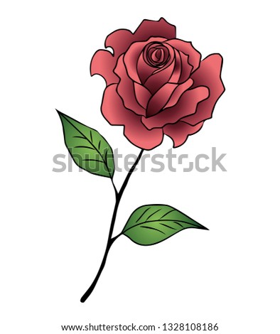 rose vector pink
