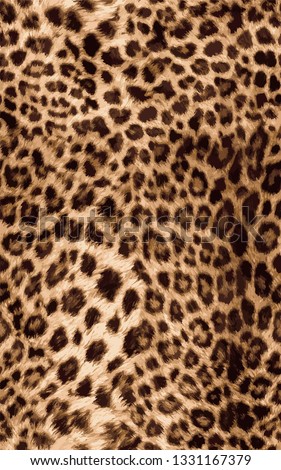 Leopard Pattern Fashion