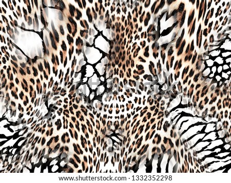 Leopard print, animal pattern