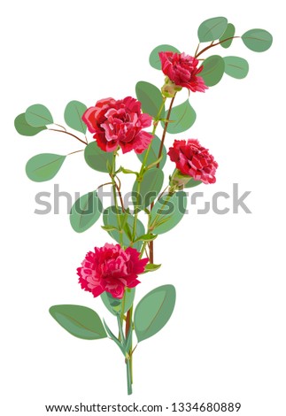 Bouquet of carnation schabaud, red flowers, twigs of eucalyptus populus, white background, card for Mother's Day, Victory day. Digital draw, illustration in watercolor style, vector