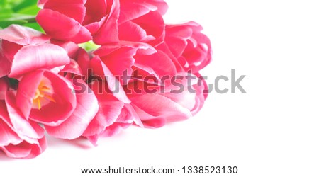 Bouquet of pink tulips on a light background. Holiday card