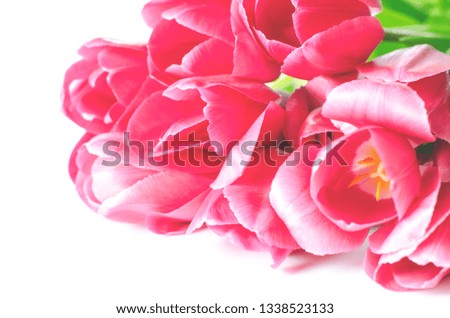 Bouquet of pink tulips on a light background. Holiday card