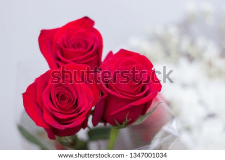
Three red roses collected in a bouquet on a white background.
