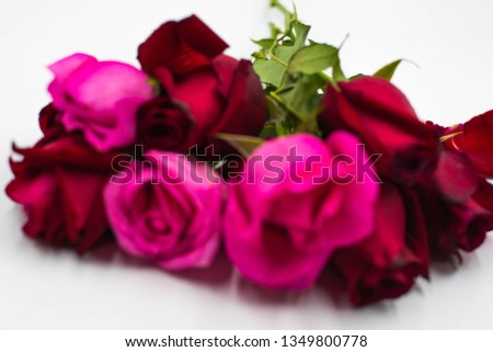 Blur Beautiful Red and Pink Rose isolated on white background.Romantic Happy Valentines Day 
Greeting card, Wedding invitation, Women's day concept.Close up, top view, with copy space.