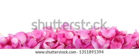 heap of pink rosehips petals isolated on white background banner