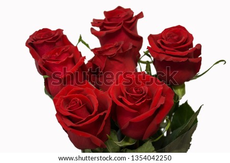 Red roses as symbol of love and passion in the bouquet on the white background
