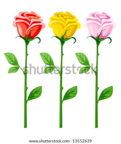 three vector rose flowers isolated on white background