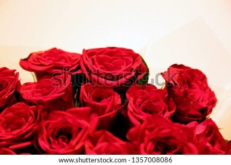 Red roses Flowers