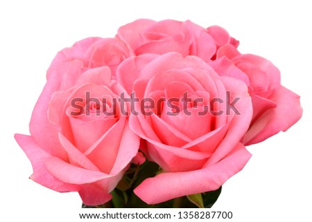 Rose Flowers Bouquet isolated on white