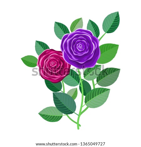 Floral frame with bouquet of roses isolated on withe background. Ideal for integrating a personalized message or dedication allusive to various events or celebrations. Illustration.Design.Digital art.