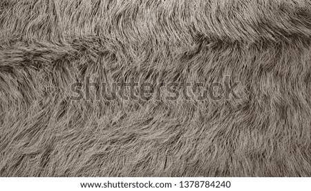 gray furry background - 3D Illustration