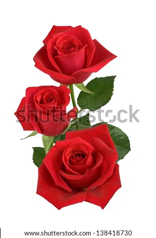 Three red roses isolated on white