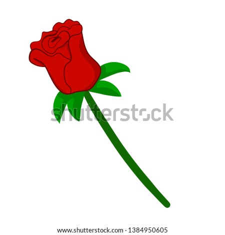 red rose isolated illustration on white background