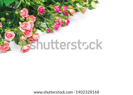 bouquet of small colored roses on a white background