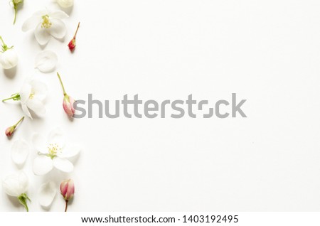Flowers composition. Pattern made white and pink flowers with space for text on white paper. Mockup. View from above. - Image 
