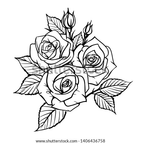 Rose by hand drawing. Beautiful flower on white background