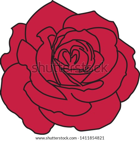 Rose vector illustration - vector 