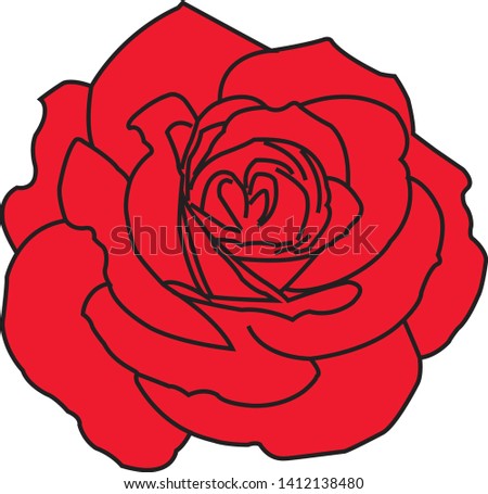 Flower rose illustration - vector 