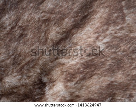 Close up of fur texture background